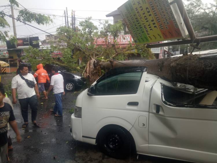 Dua unit Mobil Naas Tertimpa Pohon Tumbang Jalan Turi