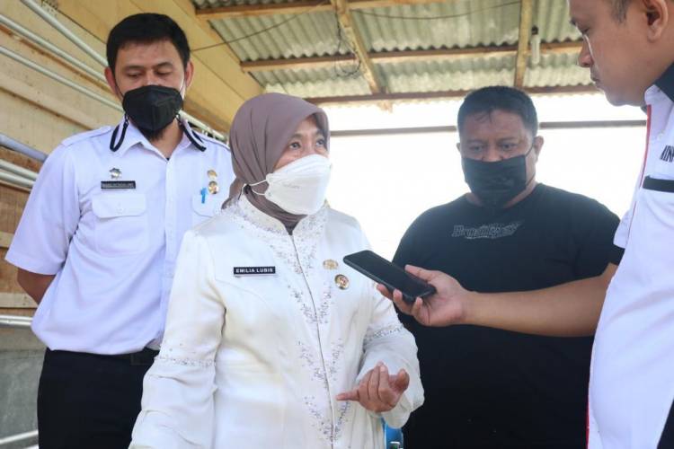 Terima Bantuan Mesin Pemisah Tulang Ikan, Pelaku UMKM : Terima Kasih Pak Bobby Nasution