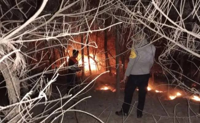 Diduga Puntung Api Rokok, Terjadi Kebakaran Hutan