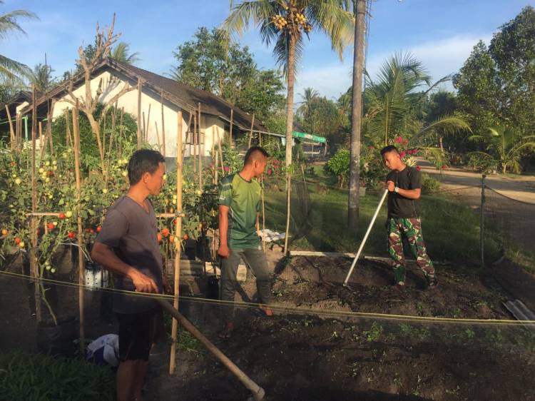 Ciptakan Kedekatan TNI-Rakyat, Satgas TMMD 116 Kodim Deliserdang Bantu Petani Berkebun