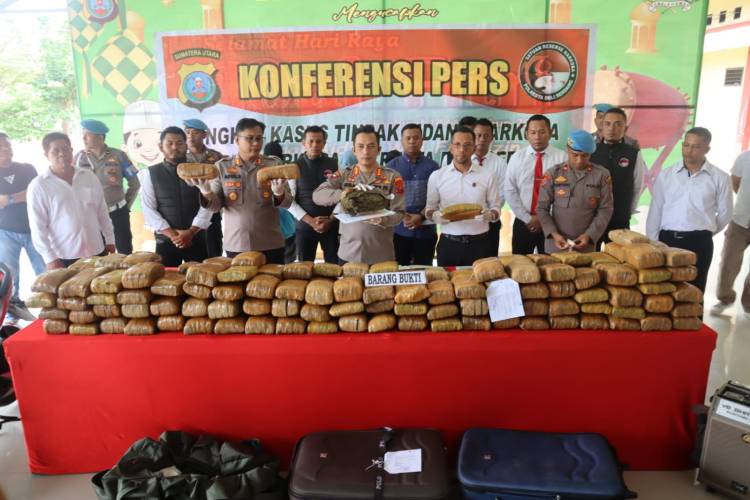 Sat Res Narkoba "Bongkar" Jaringan Pengedar 173 kg Ganja