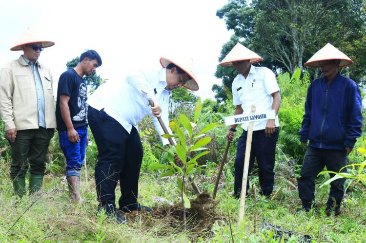 Bupati Samosir Tanam Kopi di Area Terpadu