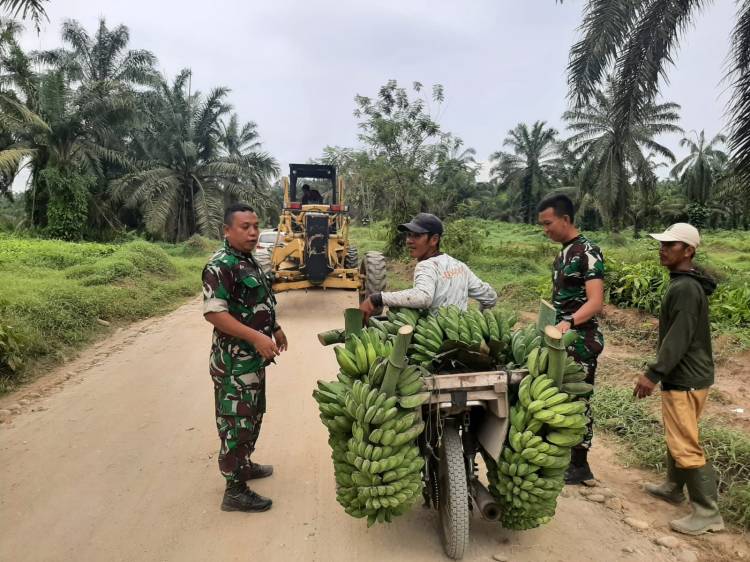 Bukti Nyata TMMD 116 Kodim Deliserdang Tingkatkan Perekonomian Warga