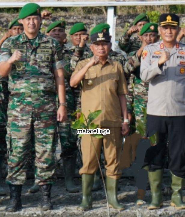 Kabupaten Asahan Tanam Lima Ribu Pohon Mangrove