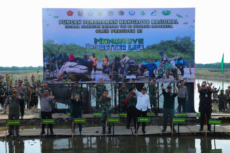 Pangdam I/BB Lapor ke Presiden Telah Tanam 157.200 Mangrove di Lahan Seluas 204.900 M Persegi di 25 Lokasi