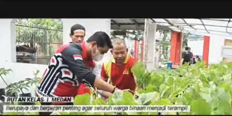 Sistem Hidroponik, Rutan Kelas l Medan Panen Sawi