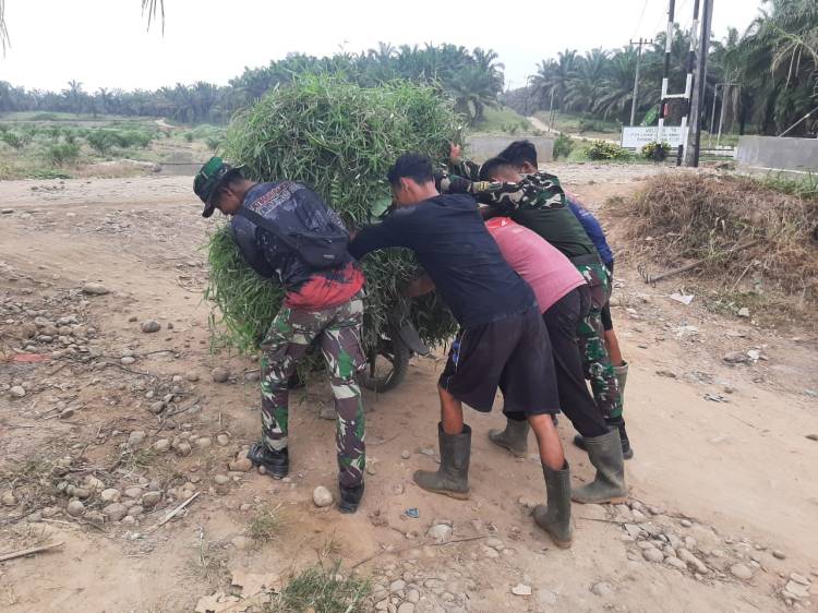Potret Kedekatan Personil Satgas dengan Warga di Lokasi TMMD 116 Kodim Deliserdang