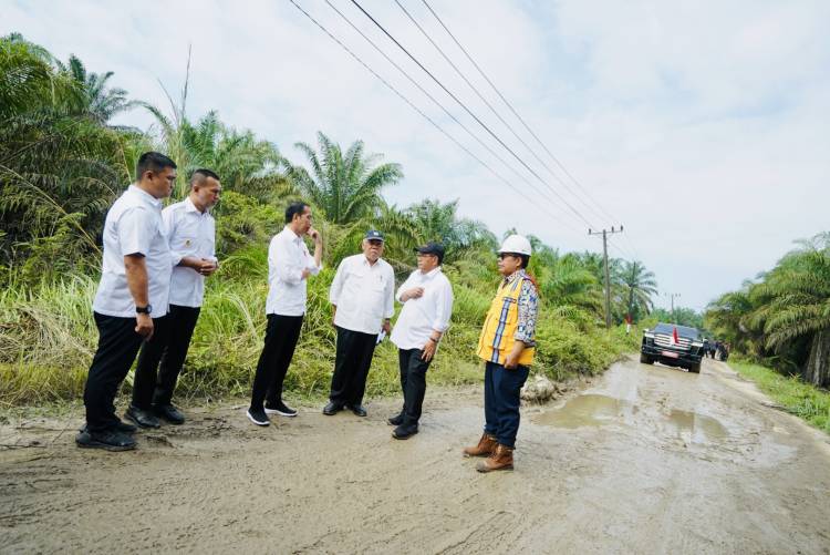 Bersama Wagub Musa Rajekshah,Jokowi Tinjau Jalan Rusak diLabura*Juli 2023 Mulai Diperbaiki, AnggarakanRp800 Miliar