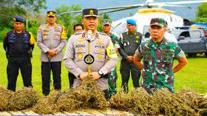 Kolaborasi dan Teknologi Satelit Dalam Perang Melawan Narkoba