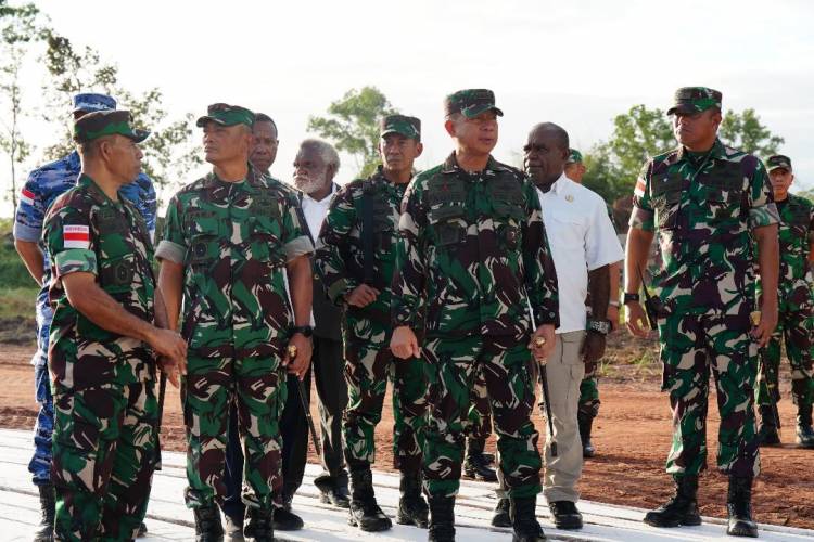 Panglima TNI Tinjau Proyek Food Estate dan Pompanisasi di Papua Selatan