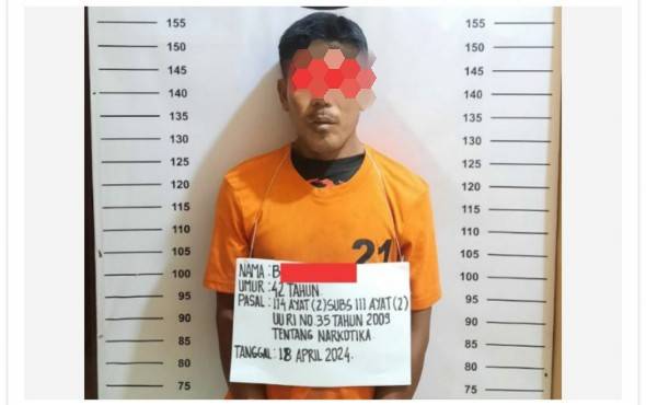 Jual Ganja Seberat 7,4 Kilogra, Budi Warga Padangmatinggi Rantauprapat  Ditangkap Polisi