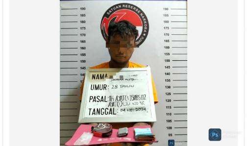 Penjual Sabu Asal Damuli Pekan Ini Ditangkap Di Areal Kebun Kelapa Sawit Warga