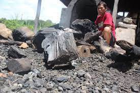 Polres Langkat Mendalami Produksi Arang di Pematang Jaya: Klarifikasi dan Komitmen Lingkungan