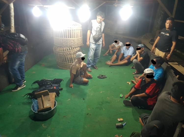 Brantas Perjudian, Sat Reskrim Polres Simalungun Robohkan Lokasi Sabung Ayam