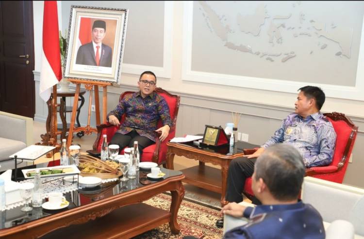 Pj Gubernur Sumut Diskusi dengan Menpan RB, Bahas Penguatan Reformasi Birokrasi