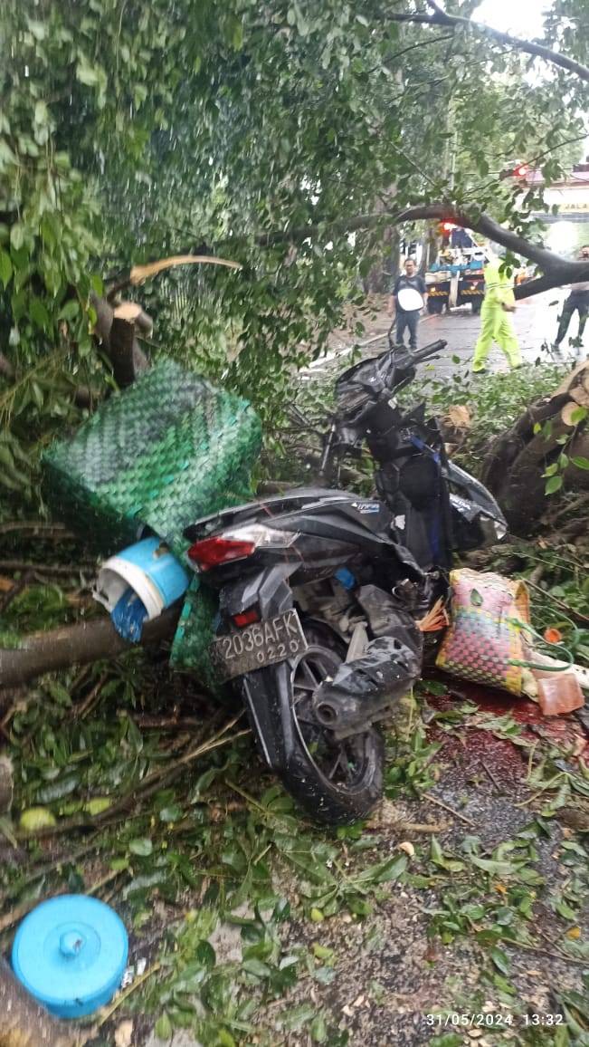 Pohon Tumbang di Jl.Imam Bonjol, Timpa Motor dan Wanita Hingga Tewas
