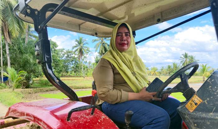 Petani di Madina 'Mur Magogo" dan Semakin Semangat Tanam  Padi Gogo