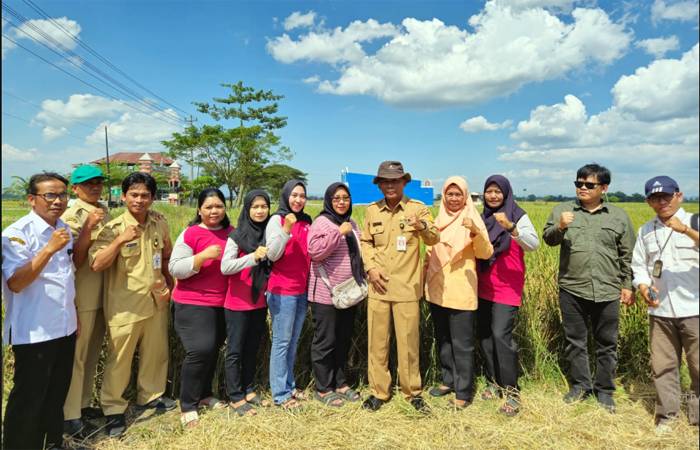 Kabupaten Sukoharjo Wujudkan Kemandirian Pangan dengan Modernisasi Pertanian
