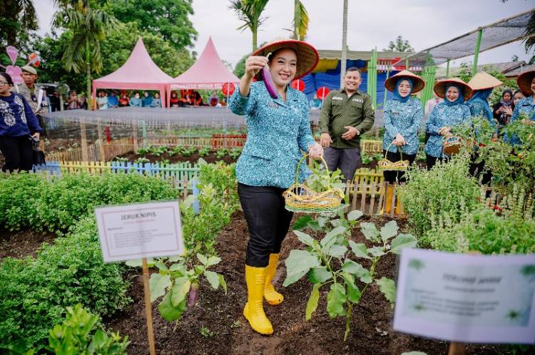 Airin Waas Tinjau & Panen Sayuran Di Taman Setia Sempakata
