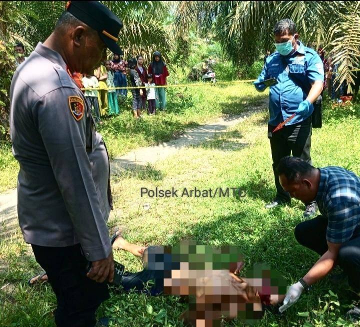 Ponimin Ditemukan Tewas Tergeletak di Lahan Perladangan Sawit
