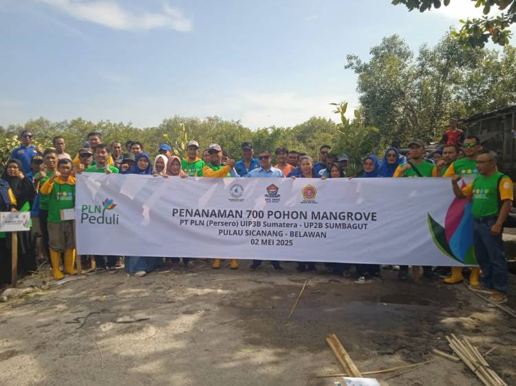 PT PLN (Persero) Bersama HNSI Dan Relawan Wak Young Tanam Pohon Mangrove
