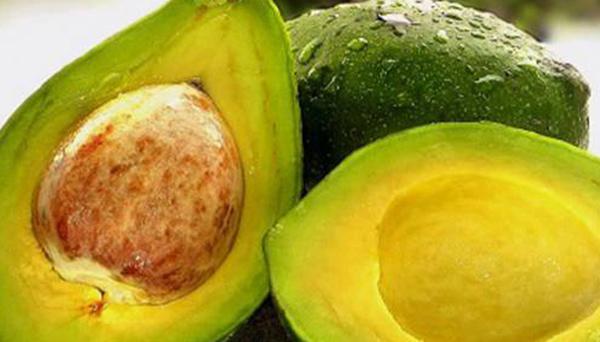 Makan Makanan Ini, Menjaga Kesehatan Otak dan tetap Segar