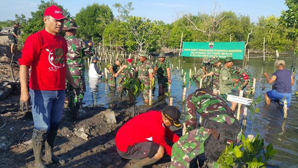 Kodim 0201/BS Bersama Prajurit Yon Zipur dan Yonkav 6/NK Tanam Mangrove di Medan Labuhan