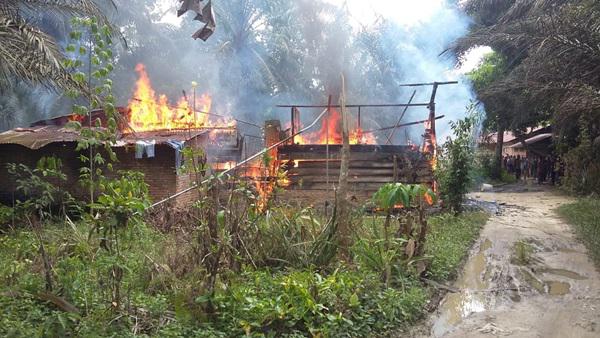 Tidak Diberi Uang, Pengangguran Ini Bakar Rumah Orangtua