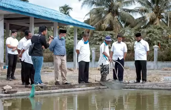 Walikota PSP Tinjau Perbenihan Ikan Paya Sordang