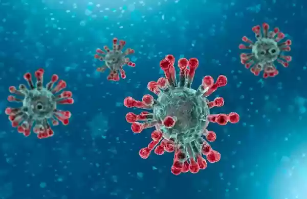 Feng Luzhou:  Belum Ada Bukti Covid-19 Bisa Menularkan Virus Melalui Makanan