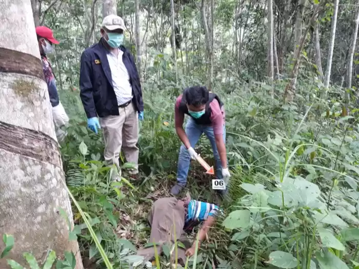 Polsek Batangtoru Evakuasi Mayat Korban Pembunuhan  di Kebun Karet Milik Warga