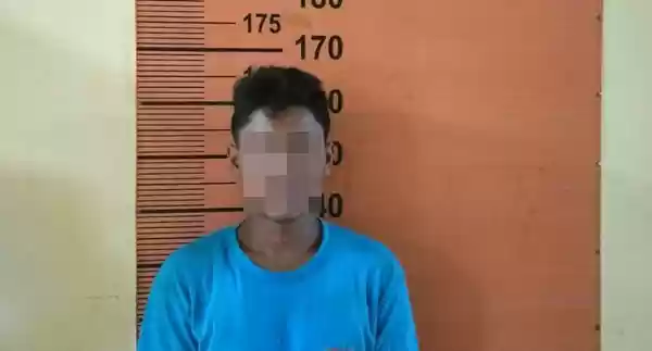Pemuda di Pancurbatu Cabuli Ponakan Berkali-kali