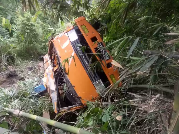 Seruduk Bambu, Truk Terjun Ke Jurang 
