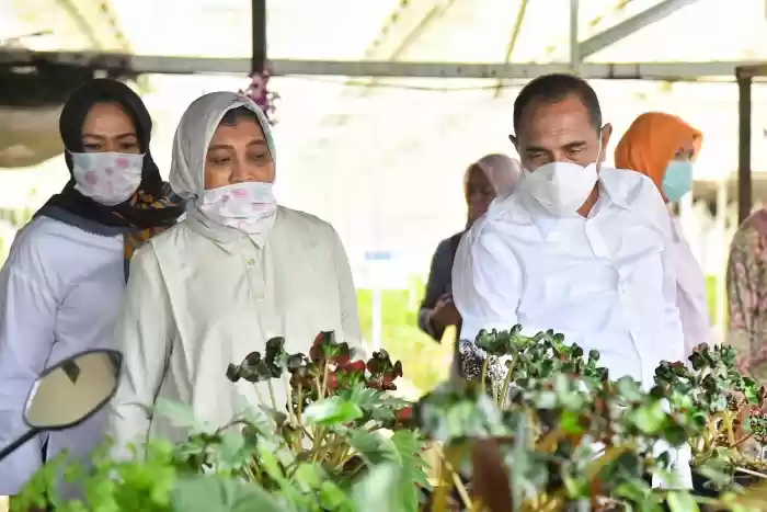 Menguntungkan, Ketua TP PKK Ajak  Masyarakat Budidaya Anggrek