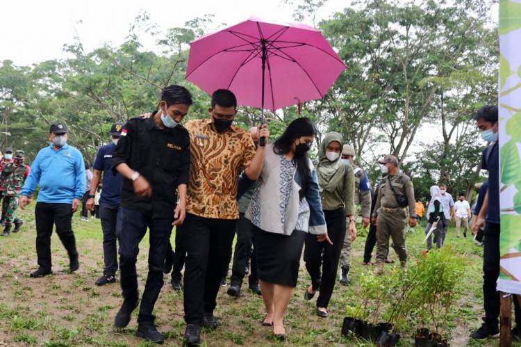 Di Bawah Hujan, Wali Kota Bersama Ketua TP PKK Medan Tanam Bibit Mangga di Hutan Kota dan Tabur Benih Ikan ke Sungai Deli