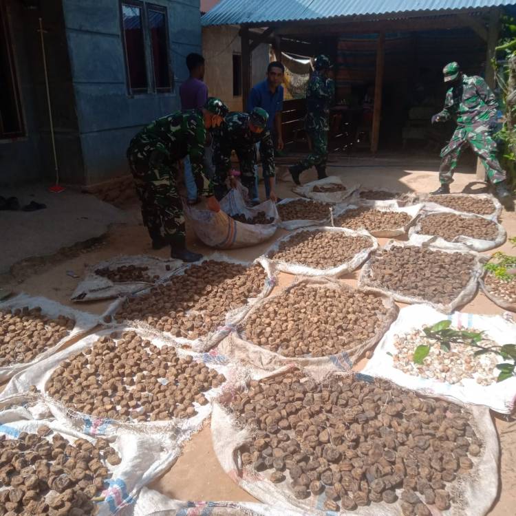 Sambangi Petani Gambir, Personil Satgas TMMD/N Beri Semangat