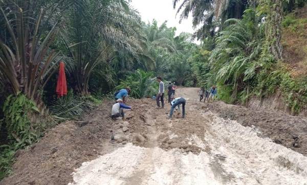 Begini Antusiasnya Warga Bantu Ratakan Badan Jalan di Lokasi TMMD Kodim 0204/DS