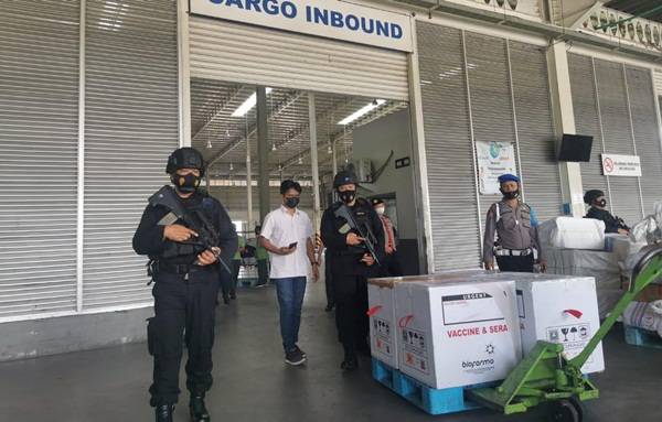 75 Ribu Dosis Vaksin Sinovac Tiba di Sumut, Dikawal Ketat Brimob Menuju Gudang Farmasi