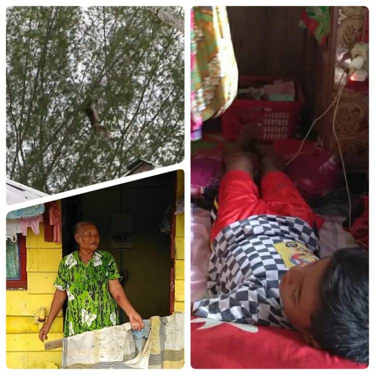 Konflik Warga Dengan Monyet di Desa Nelayan Indah, Banyak Warga  Digigit