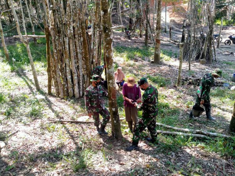 Anggota Satgas Belajar Menyadap Getah Karet Bersama Warga