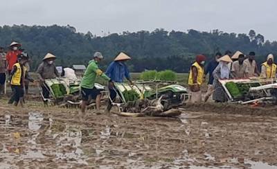 Pemerintah Aceh Timur, Menanam Padi Perdana