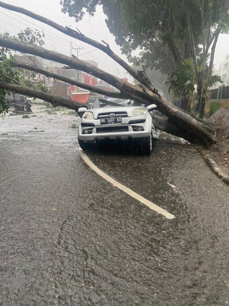 Pohon Tumbang di RS Adam Malik, 2 Tewas, 5 Luka-luka