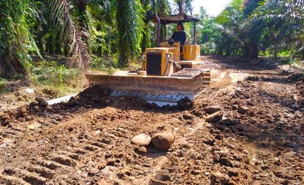 Deru Bulldozer Ratakan Tanah Pecah Keheningan di Lokasi TMMD Ke-111 Kodim 0204/DS