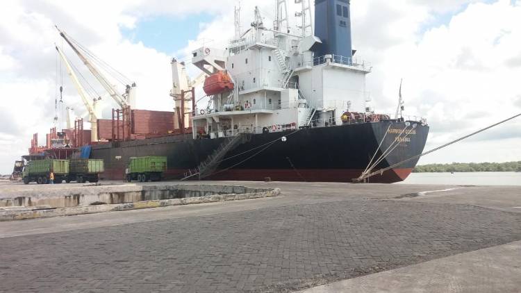 Untuk Memenuhi Kebutuhan Perkebunan di Sumut, Sebanyak 8000 Ton Pupuk Asal China di Bongkar