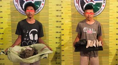 Dua Sekawan Digulung Polisi Akibat Miliki Barang Narkotika Ganja