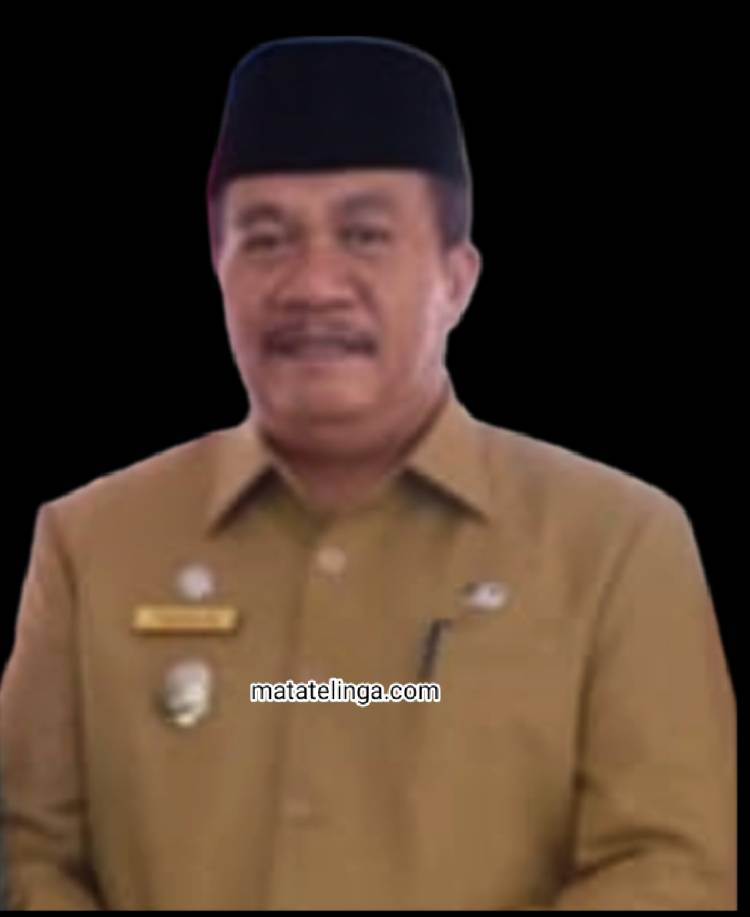 Di Desa Lubuk Palas Wabup Terima Kunjungan Tim Monitoring PKK Propinsi Sumut