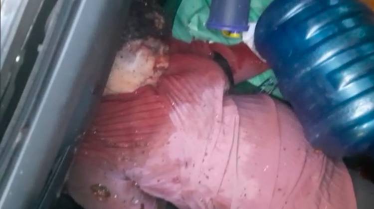 Wanita Baju Merah Muda Dikerumuni Warga, Katanya Penemuan Mayat?