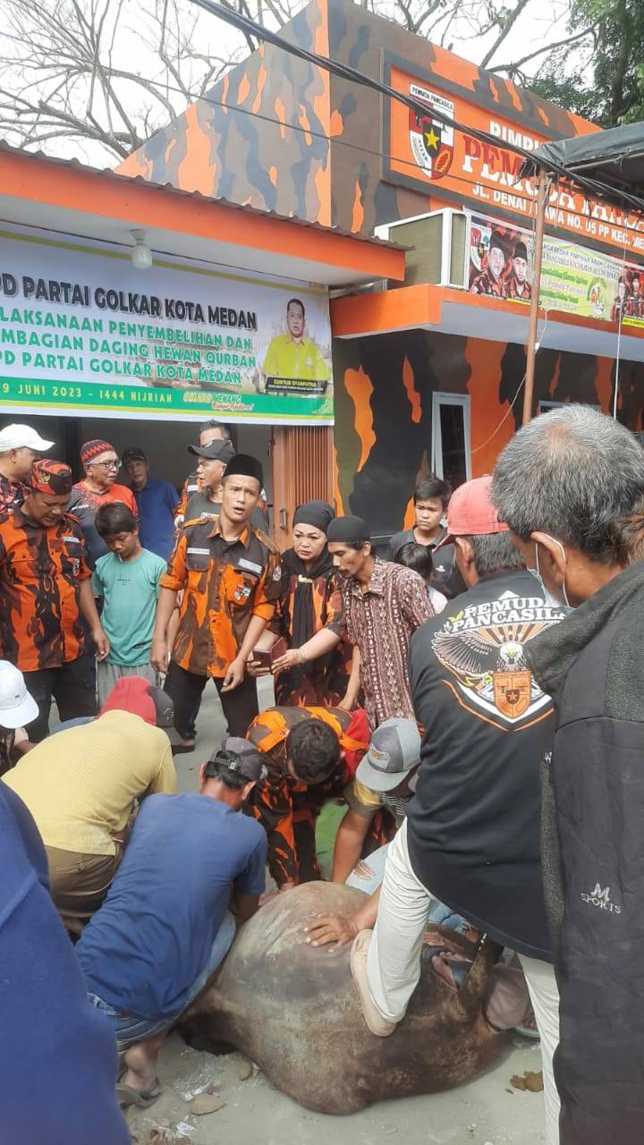 Rayakan Idul Adha10 Dzulhijjah&nbsp; Ketua PAC PP Medan Denai, Qurban 5 Ekor Lembu
