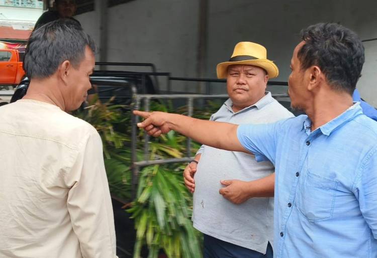 Nelayan Sibolga Keluhkan Trawl Bebas, Rusak Laut dan Ekonomi