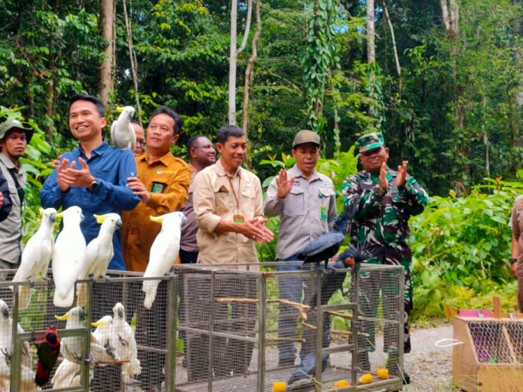 Danramil 1710-03/KK Hadiri Kegiatan Pelepasliaran Satwa Ke Habitat Alamnya